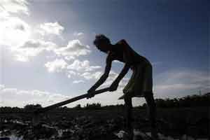 farmers suicide