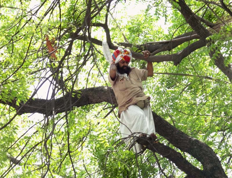 Farmer suicide