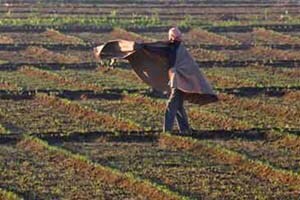 RBI has instructed banks to restructure farm loans in the wake of unseasonal rains and hailstorms. 