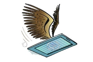 TRAI net neutrality TRAI net neutrality