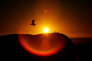 sun, milky way, star, milky way galaxy, milky way earth, earth, sun fire ball, sun star, universe, milky way stars, galaxy, astronomers, sun was a late boomer, astronomy, science latest news, science