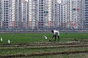 Congress, Real Estate bill, Budget session, Real Estate Regulatory Authority Bill, 2013 realty business,builders, Appellate Tribunals, Real Estate news, business news, Real Estate bill Amendment