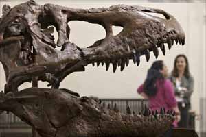 Dinosaur