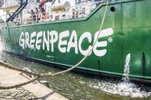 Greenpeace, Greenpeace India, Greenpeace donations, Greenpeace ngo, Income Tax Act, tax exemption, tax exemption 2015, tax exemption 80g