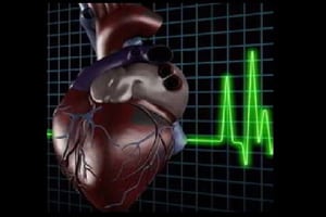 Broken Heart, Heart, Heart regeneration, Cardiac muscles regeneration, Turbo-charging hormone, University of New South Wales, Associate Professor Richard Harvey