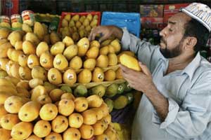 Alphonso, Alphonso mango, Alphonso mango price, Mango price, mango season, mango india, mango tree, Assocham, Assocham mango price