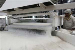 Sugar stocks