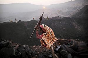 Coal Scam Coal Scam