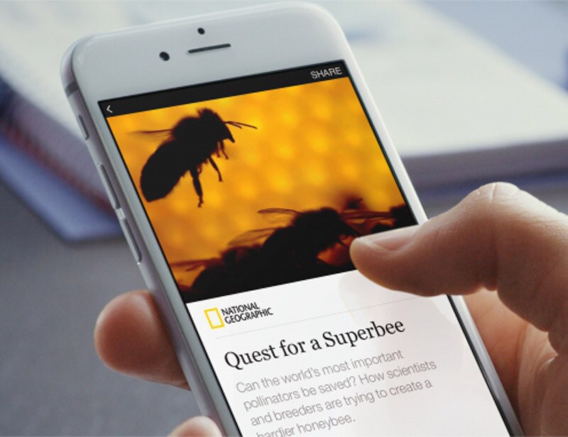 facebook instant articles