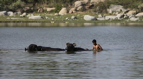 heat wave in andhra pradesh