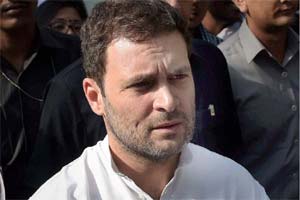 rahul gandhi news
