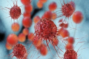 IMS, which provides prescription drug use data for the pharmaceutical industry, said it found 586 cancer treatments from 511 companies were in mid- to late-stage development. 