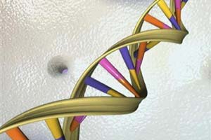 Procreation: Who runs this bee world? Just girls Procreation: Who runs this bee world? Just girls