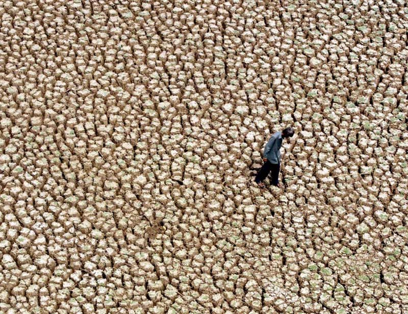 heat wave in odisha