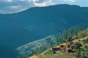 Tripadvisor announces Travellers’ Choice Hill Station Hotels Tripadvisor announces Travellers’ Choice Hill Station Hotels