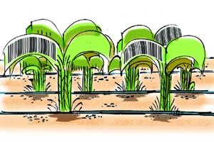 The state irrigation department is likely to complete at least 80 per cent projects in three years by infusing funds through this route. 