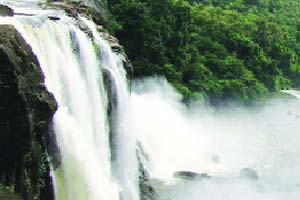 Kerala tourism drops green fears; unrolls red carpet for films Kerala tourism drops green fears; unrolls red carpet for films