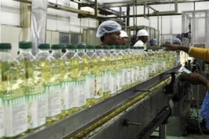 edible oil castor oil market