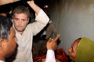 rahul gandhi rahul gandhi telangana