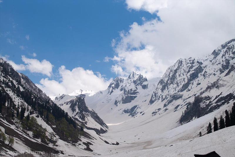 "Flood Kashmir with only tourism tourism tourism," Salman Khan tweeted with this photo.