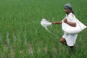 GST, GST impact, Fertiliser companies, new tax regime, unsold stock, Goods and Services Tax, Arun Jaitley, GST rate, 