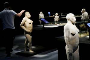 evolution of man evolution of man