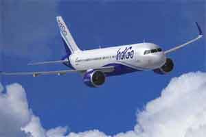 indigo ipo