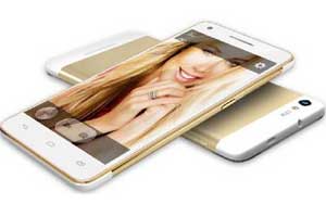 micromax investment