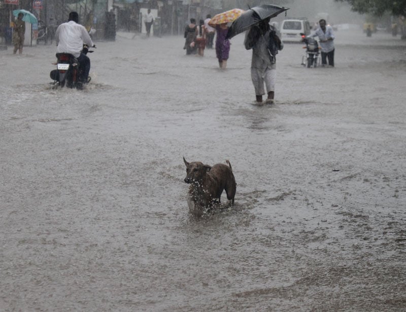 monsoon in india