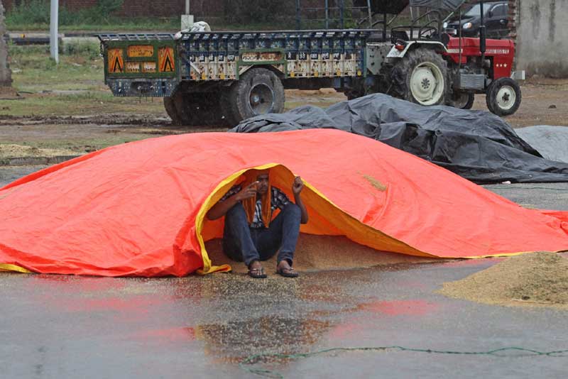 Monsoon 2015 MET IMD