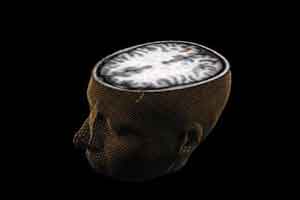 human brain