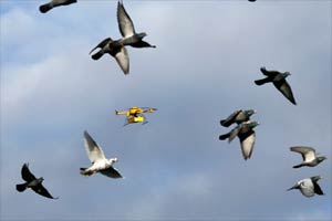 Ecommerce drone delivery