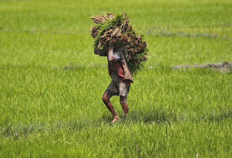 india export