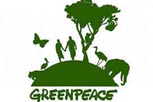 greenpeace ngo greenpeace ngo