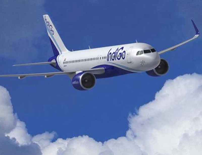 Indigo, GoAir soar to top