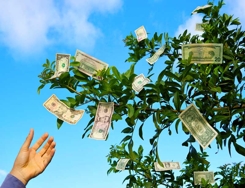 money
