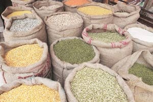 Pulses-arhar