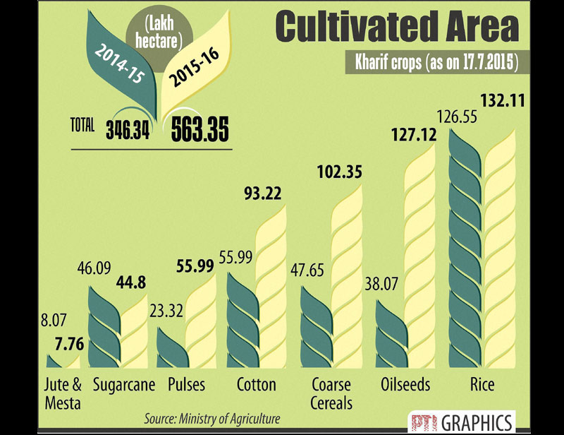 kharif crops cultivation, kharif crops in india