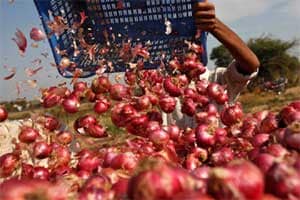 onion farmers