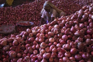 Govt cuts onion minimum export price to $400 per tonnne in exports boost