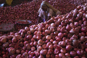 Govt cuts onion minimum export price to $400 per tonnne in exports boost Govt cuts onion minimum export price to $400 per tonnne in exports boost