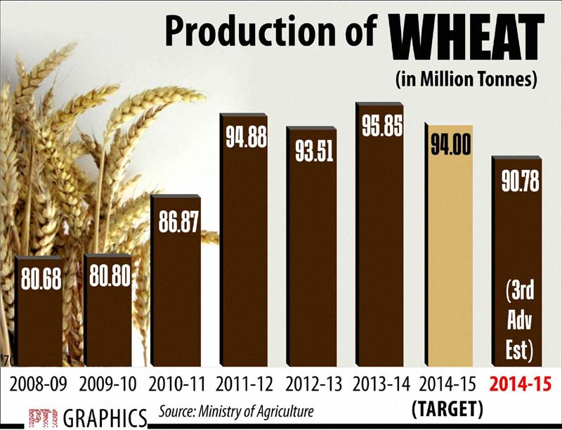 Wheat Production
