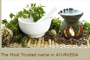 Baidyanath products Baidyanath products