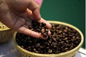 coffee