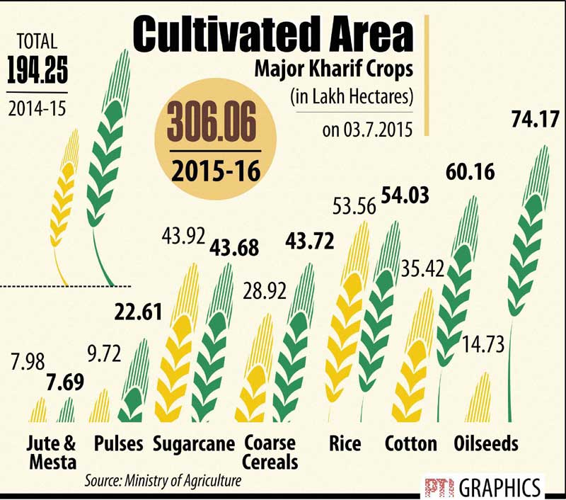 Major kharif crops cultivated area.