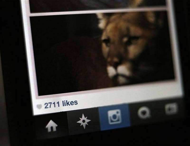 Instagram