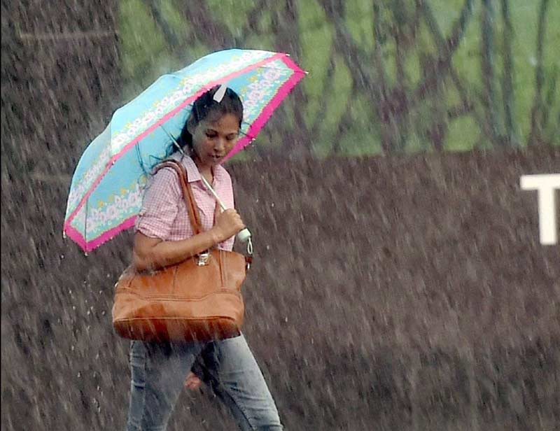 monsoon in india, rainfall in india