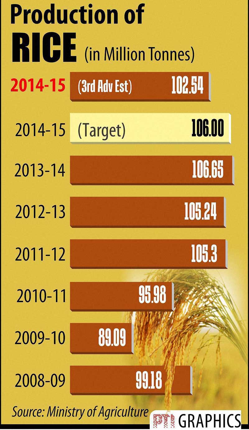 Production of Rice.