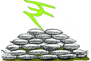 Uniform fertiliser subsidy policy must for DBT Uniform fertiliser subsidy policy must for DBT