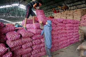 onion prices